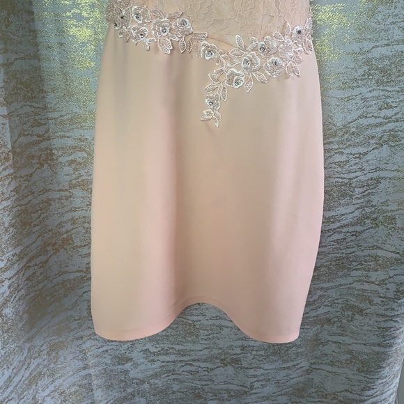 Hanieh Light Pink Evening Lace And Embroidered Midi Dress Size 3 - Picture 5 of 12